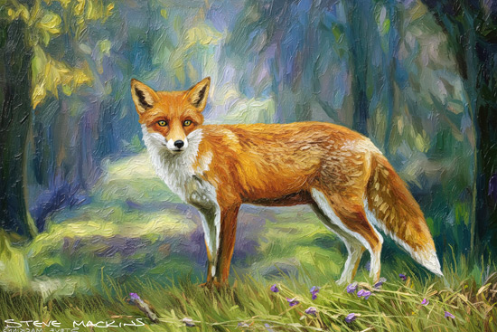 Fox Art Print