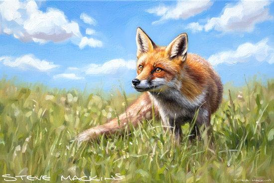Fox Art Print