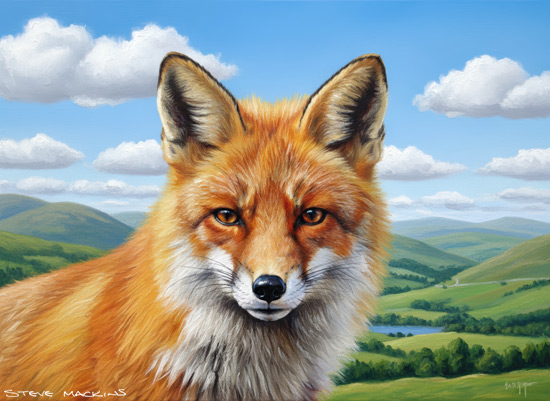 Fox Art Print