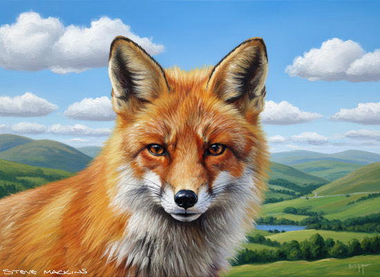 Fox Art Print