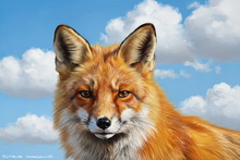 Fox, Vixen, Tod, Red Fox, Wild Fox