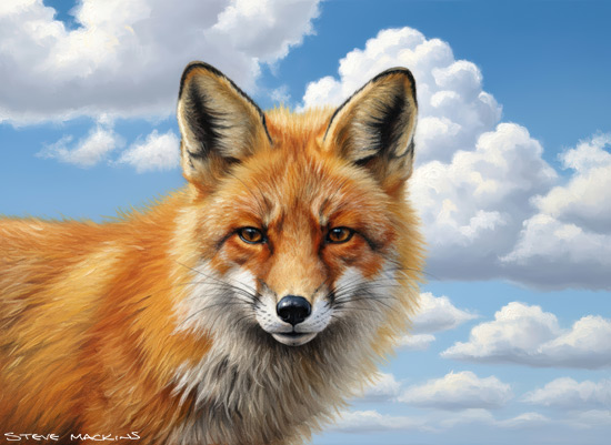 Fox Art Print