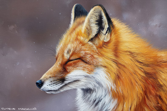 Fox Art Print