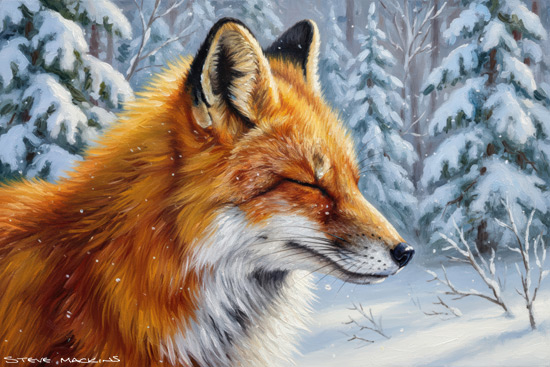 Fox Art Print