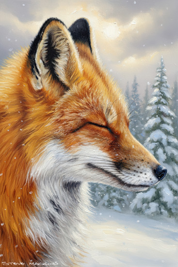 Fox Art Print