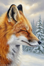 Fox, Vixen, Tod, Red Fox, Wild Fox