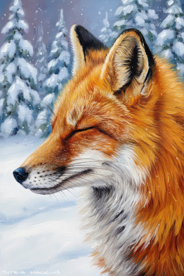 Fox Art Print