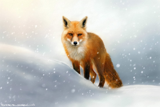 Flowerfield Red Fox