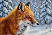 #Cumbria Fox Giclee Art Prints #UK Fox Prints #Borrowdale Fennec Fox Art #Fox Giclee Art Prints #Borrowdale Vixen Aluminium Prints #Borrowdale Fox Cub Prints #UK Red Fox Aluminium Prints #Borrowdale Red Fox Fine Art Prints #Lake District Fox Cub Canvas Prints #Windermere Fox Cub Wall Art #Fox Study Art Prints For Bed and Breakfasts #Lake District Fennec Fox Aluminium Prints #Borrowdale Fox Cub Aluminium Prints #UK Red Fox Fine Art Prints #Lakeland Fox Cub Fine Art Prints #UK Fennec Fox Giclee Art Prints #Borrowdale Fox Cub Canvas Art Prints #Lakeland Fox Cub Art Prints #Lake District Red Fox Art #Langdales Fox Cub Canvas Prints #Fox Study Canvas Art Prints #Ullswater Fox Cub Wall Art