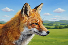 #Ullswater Fox Wall Art #Lake District Fox Canvas Prints #Windermere Fennec Fox Canvas Art Prints #Fox Art Prints Wall Decor #Cumbria Fox Study Wall Art #Windermere Red Fox Giclee Art Prints #Ullswater Fox Canvas Prints #Borrowdale Red Fox Canvas Art Prints #Keswick Fox Study Wall Art #Fox Cub Wall Art #Ullswater Fox Cub Prints #Windermere Fox Art Prints #Langdales Vixen Artwork #Ullswater Fox Study Artwork #Langdales Vixen Wall Art #Ullswater Fox Study Wall Art #Cumbria Red Fox Art #Lakeland Vixen Fine Art Prints #Fox Cub Art Prints Special Occasion Gifts #Cumbria Fennec Fox Giclee Art Prints #Cumbria Fox Study Giclee Art Prints #Lakeland Red Fox Fine Art Prints