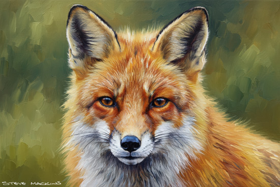 Fox Art Print