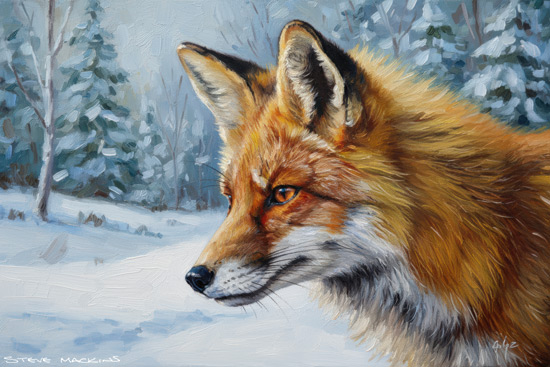 Fox Art Print