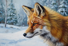 #Borrowdale Vixen Art Prints #Lakeland Red Fox Wall Art #Cumbria Vixen Fine Art Prints #UK Fennec Fox Artwork #Fox Aluminium Prints #Cumbria Fox Study Art #Cumbria Fox Study Canvas Prints #Langdales Fennec Fox Canvas Prints #Langdales Red Fox Canvas Prints #Keswick Fox Study Aluminium Prints #Ullswater Fox Giclee Art Prints #Langdales Fox Cub Artwork #Borrowdale Vixen Art #Lake District Fox Art Prints #Borrowdale Fox Cub Artwork #Lake District Fox Study Aluminium Prints #Keswick Fox Study Art Prints #Fox Study Art Prints Business Decor #Langdales Fox Cub Fine Art Prints #Cumbria Fennec Fox Art Prints #Vixen Canvas Art Prints #UK Fox Prints
