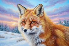 #UK Fox Study Art #Borrowdale Fox Cub Prints #Langdales Fox Art Prints #UK Red Fox Canvas Art Prints #Lakeland Vixen Art Prints #Keswick Red Fox Canvas Art Prints #UK Fox Study Canvas Prints #Langdales Vixen Art Prints #Fox Cub Art Prints Business Decor #Langdales Fox Study Art #Keswick Fox Wall Art #Langdales Fox Art #Langdales Fox Prints #Windermere Fox Giclee Art Prints #Lake District Fennec Fox Canvas Art Prints #Lakeland Vixen Artwork #Cumbria Fennec Fox Giclee Art Prints #Fox Cub Art Prints Home Decor #Langdales Red Fox Artwork #Fox Cub Art Prints Special Occasion Gifts #Cumbria Fox Study Wall Art #Keswick Fox Study Artwork
