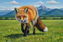 #Lakeland Fox Study Wall Art #Windermere Red Fox Canvas Art Prints #Langdales Fox Cub Art #Langdales Vixen Canvas Art Prints #Ullswater Vixen Fine Art Prints #Ullswater Fox Cub Art #Fox Art Prints Home Decor #Windermere Red Fox Wall Art #Lake District Fox Art #UK Fennec Fox Wall Art #Lake District Fox Study Wall Art #Cumbria Red Fox Giclee Art Prints #Fox Cub Art Prints For Sale #Cumbria Fennec Fox Wall Art #Windermere Fox Cub Aluminium Prints #UK Vixen Artwork #Lakeland Fox Study Giclee Art Prints #UK Fennec Fox Canvas Art Prints #Fox Study Art Prints For Sale #Windermere Fox Prints #Fennec Fox Art Prints For Bed and Breakfasts #Borrowdale Fox Cub Artwork