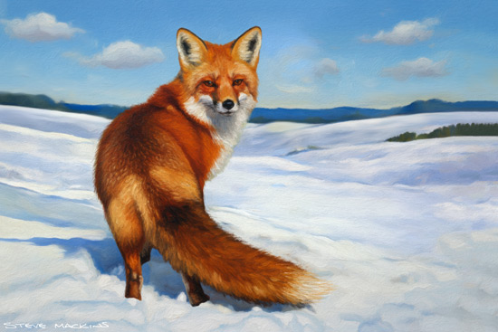 Fox Art Print
