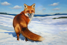 #Borrowdale Fox Study Canvas Prints #Fox Art Prints Home Decor #Keswick Fox Cub Art #Fox Cub Art Prints Interior Design #Fox Study Art Prints Interior Design #Ullswater Vixen Art #Langdales Red Fox Wall Art #Ullswater Fox Wall Art #Langdales Fox Prints #Windermere Vixen Art Prints #Borrowdale Fox Study Artwork #Windermere Fox Art Prints #UK Fox Fine Art Prints #Vixen Art Prints Birthday Gifts #UK Fox Cub Giclee Art Prints #Ullswater Vixen Wall Art #Cumbria Fennec Fox Artwork #Lakeland Fox Aluminium Prints #Lakeland Fox Canvas Prints #Lakeland Fennec Fox Aluminium Prints #Ullswater Red Fox Canvas Art Prints #Cumbria Fox Study Fine Art Prints