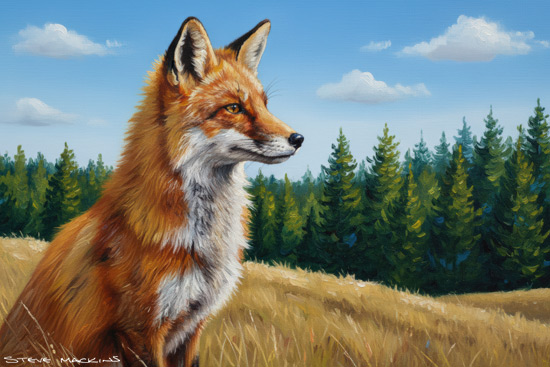 Fox Art Print