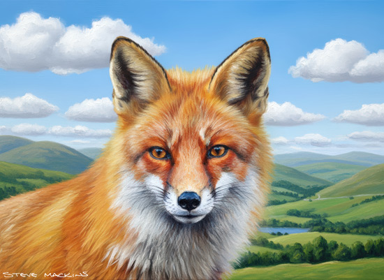 Fox Art Print