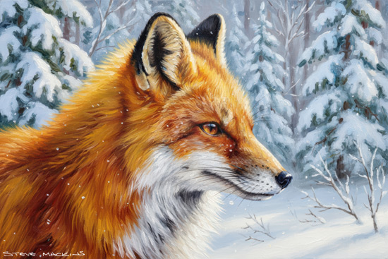 Fox Art Print