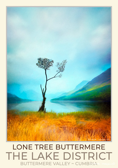 The Lone Tree Buttermere Art Poster