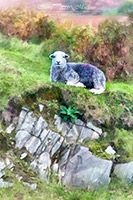Lakeland Herdy Artworks, Herdy, Herdy Wall Art, Herdwick, Herdwick, Herdwick Sheep Oil Pastels, Herdwick Sheep Art Studio, Herdwick Sheep, Herdies, Mixed-Media Herdy Art, Herdwick Sheep Acrylic Paintings, Herdwick Sheep Sketch, Herdy Sketch, Herdwick Artwork, Herdy Sketches, Herdwick Wall Art, Herdwick Sheep Oil Painting, Herdwick Sheep Oil Painting, Herdwick Drawings, Herdy Art, Herdy Ewe, Herdwick Sheep Prints, Herdwick Sheep Art, Herdy Sheep Artist, Cumrew, Storth, High Tove, Catstycam, Loweswater, Catbells, Distington, Maiden Moor, Caudale Moor, Brough, Broughton Mills, Broughton Beck, Gre