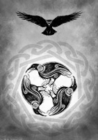Celtic Art, Ravens, Crows, Celtic Knots, Birds, Corvids, Corvidae, Dark Art