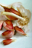 Garlic Bulb & Cloves, Kitchen Art, Food Art, Onions, Cooking, Art, Artwork, Cooking Illustration, Wall Art