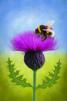Bee on a Thistle, Bee, Thistle, Nature, Milk Thistle, Scotland, Art Print