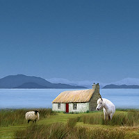 Hebrides Croft ~ White Pony & Sheep