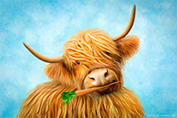 Carrot Coo, Highland Cow Artwork Print