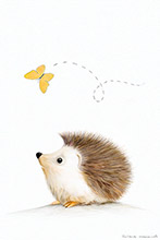 Hedgehog & Butterfly