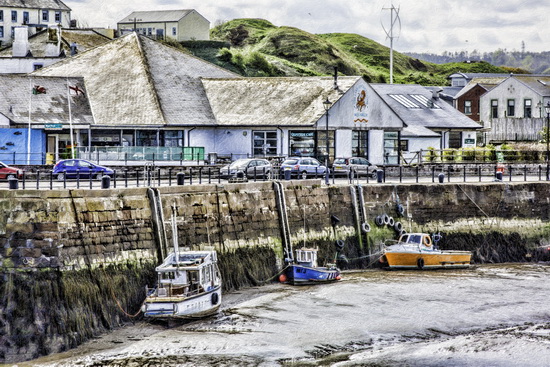 Maryport - Maryport Art - Maryport Cumbria, Wildlife & Landscape Prints Maryport