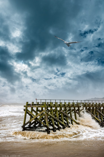 North Pier - Maryport - Maryport Piers - Maryport Cumbria, Wildlife & Landscape Prints North Pier - Maryport