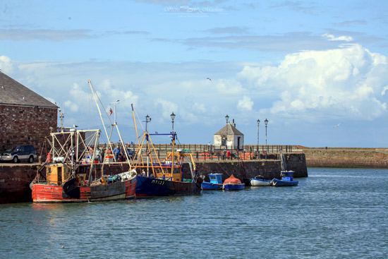 Maryport Fishing Boats - Maryport Harbour - Maryport Cumbria, Wildlife & Landscape Prints Maryport Fishing Boats