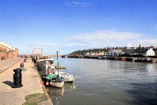 Maryport Harbour - Maryport Harbour - Maryport Cumbria, Wildlife & Landscape Prints Maryport Harbour
