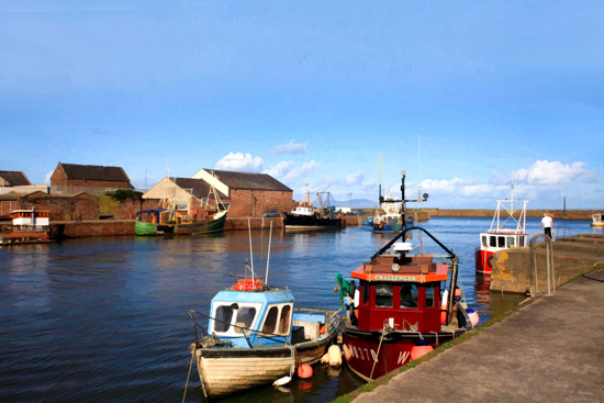 Maryport Fishing Boats - Fishing Boats - Maryport Cumbria, Wildlife & Landscape Prints Maryport Fishing Boats