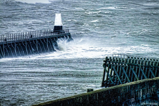 Maryport Piers - Maryport Piers - Maryport Cumbria, Wildlife & Landscape Prints Maryport Piers