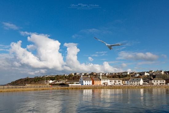 Maryport Harbour - Maryport Harbour - Maryport Cumbria, Wildlife & Landscape Prints Maryport Harbour