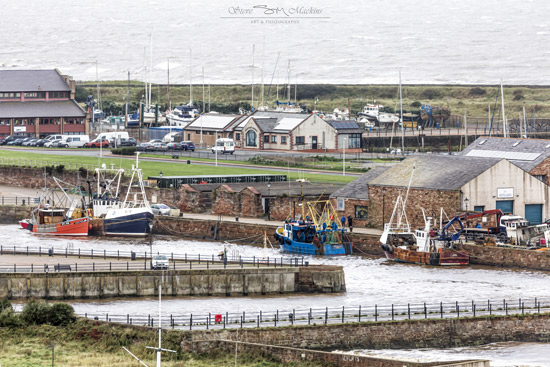 Maryport Harbour - Maryport Harbour - Maryport Cumbria, Wildlife & Landscape Prints Maryport Harbour