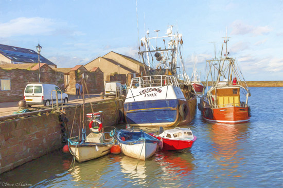 Maryport Fishing Boats - Fishing Boats - Maryport Cumbria, Wildlife & Landscape Prints Maryport Fishing Boats