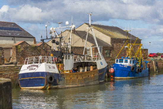 Maryport Fishing Boats - Fishing Boats - Maryport Cumbria, Wildlife & Landscape Prints Maryport Fishing Boats