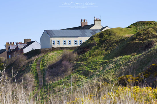 Settlement - Maryport - Maryport Town - Maryport Cumbria, Wildlife & Landscape Prints Settlement - Maryport