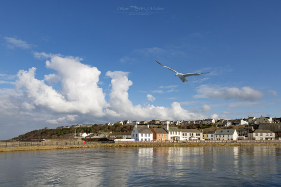 Maryport Harbour - Maryport Harbour - Maryport Cumbria, Wildlife & Landscape Prints Maryport Harbour