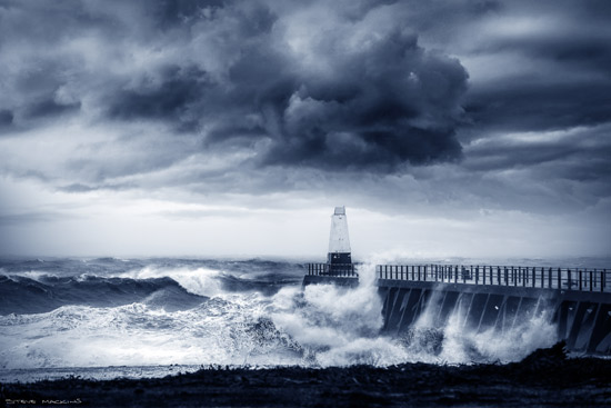Maryport - Maryport Piers - Maryport Cumbria, Wildlife & Landscape Prints Maryport