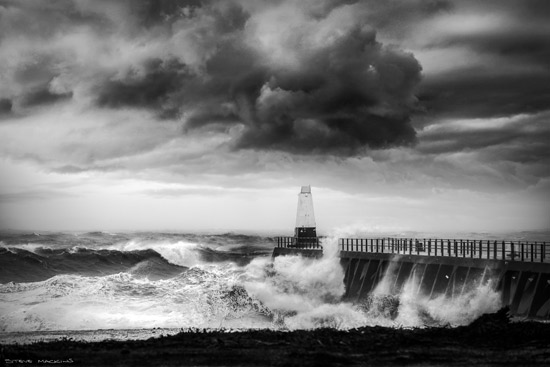 Maryport - Maryport Piers - Maryport Cumbria, Wildlife & Landscape Prints Maryport