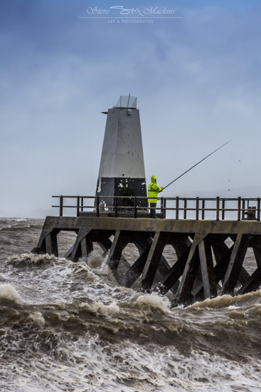 Maryport - Maryport Piers - Maryport Cumbria, Wildlife & Landscape Prints Maryport