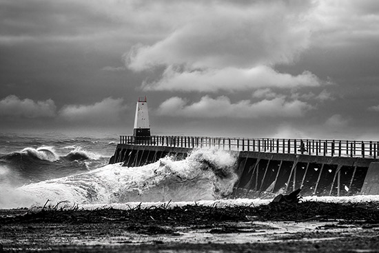 Maryport - Maryport Piers - Maryport Cumbria, Wildlife & Landscape Prints Maryport
