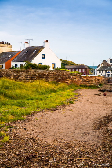 Maryport - Maryport Harbour - Maryport Cumbria, Wildlife & Landscape Prints Maryport